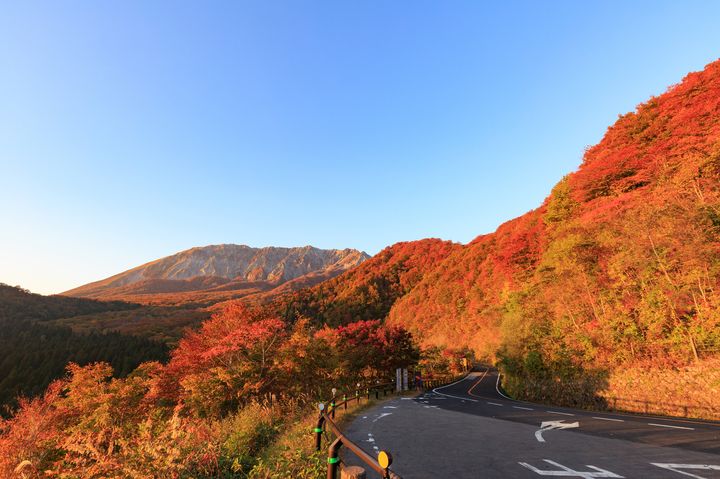 日本を代表する名山 大山 と紅葉を見に行こう 鍵掛峠 は紅葉狩りの名所だった Retrip リトリップ