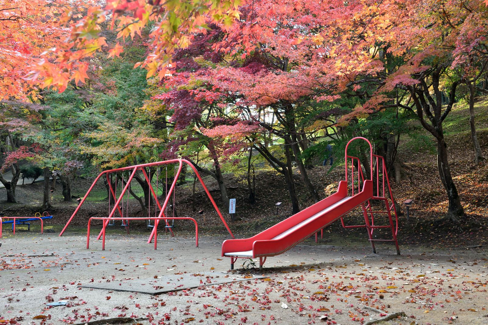 日本の秋 を写真に収めよう 尾関山公園 の紅葉が写真好きに大人気 Retrip リトリップ