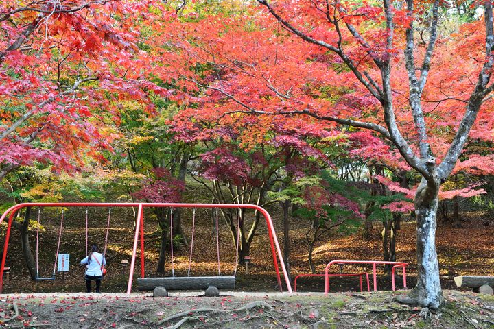 日本の秋 を写真に収めよう 尾関山公園 の紅葉が写真好きに大人気 Retrip リトリップ