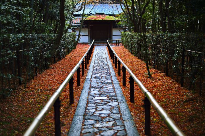 京都 大徳寺の 高桐院 は 京都屈指の美しさを誇る紅葉スポット 旅行キュレーションメディア トラベルザウルス