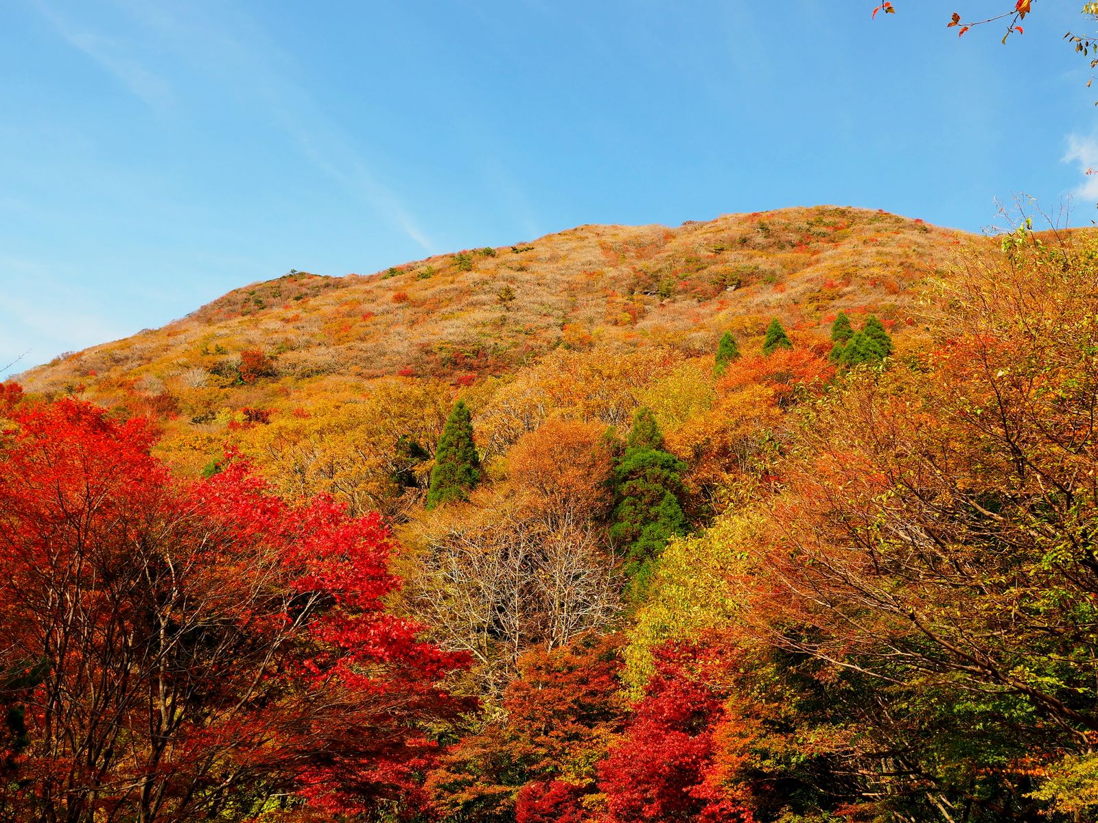 秋のドライブにも最適 大分県屈指の人気紅葉スポット くじゅう連山 とは Retrip リトリップ