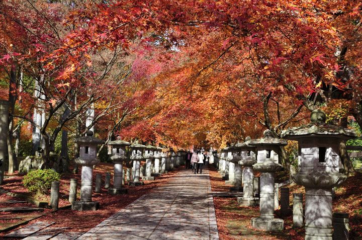 秋の絶景が見逃せない 京都 高山寺 の紅葉が美しすぎる Retrip リトリップ