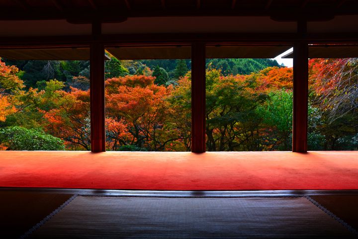 秋の絶景が見逃せない 京都 高山寺 の紅葉が美しすぎる Retrip リトリップ