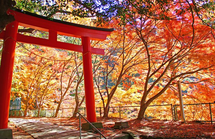 山全体が国指定の名勝天然記念物 愛知県 鳳来寺山 の紅葉が美しすぎる Retrip リトリップ