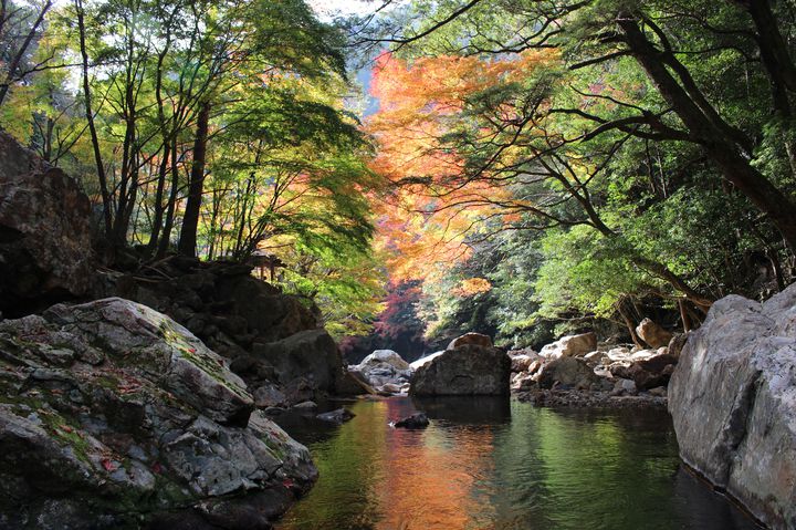 高知県は自然の宝庫！四万十支流でも特別綺麗な"黒尊渓谷"で紅葉を見よう