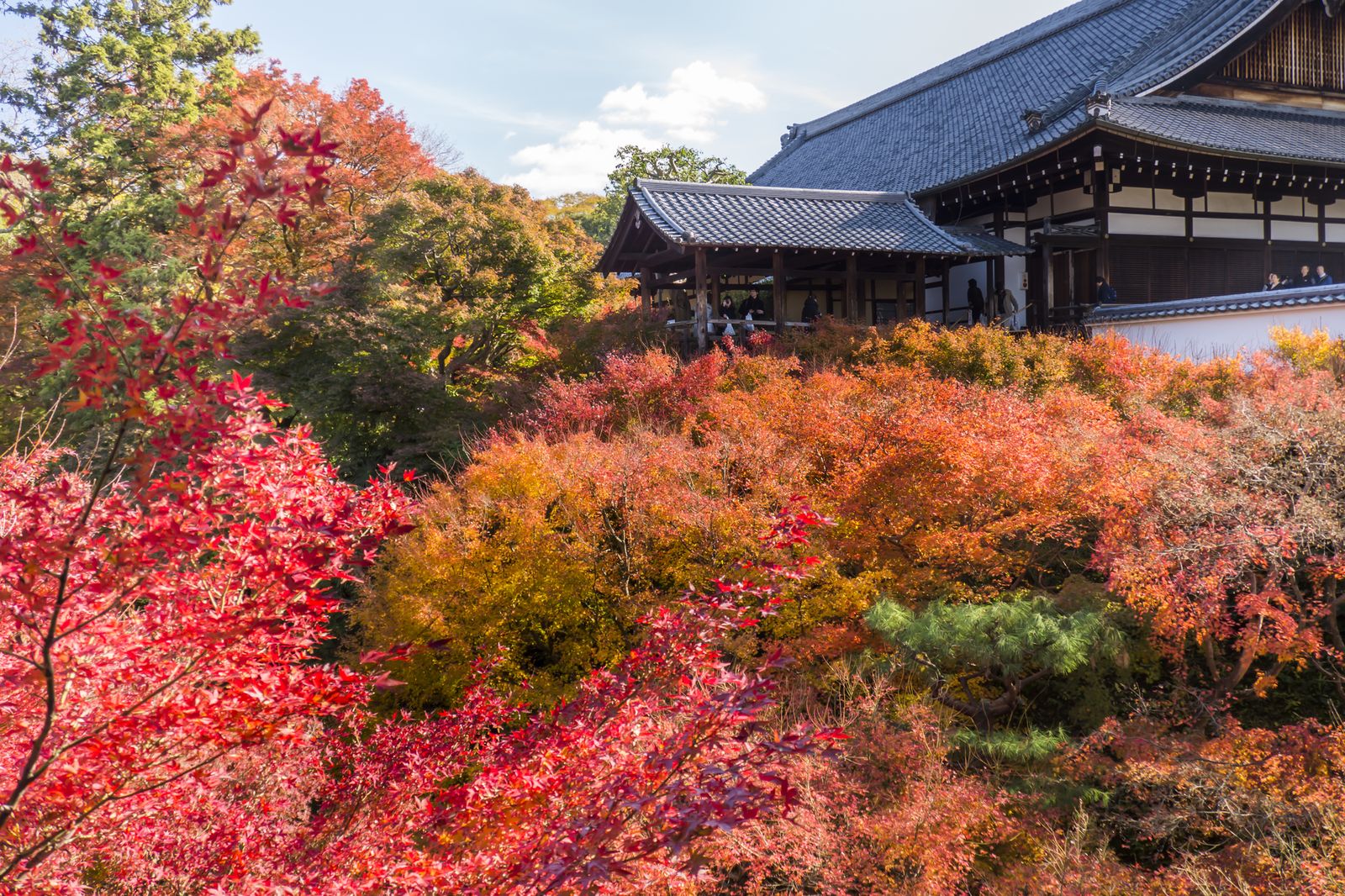 1300年の歴史が息づく！愛知屈指の紅葉スポット
