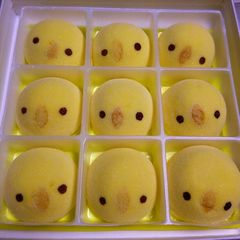 ニュース画像