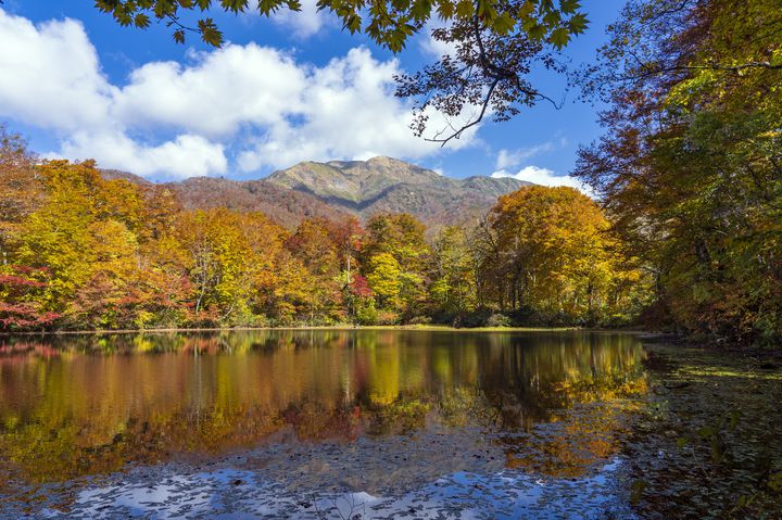 まるで鏡のような絶景 福井県 刈込池 の紅葉が美しすぎる Retrip リトリップ