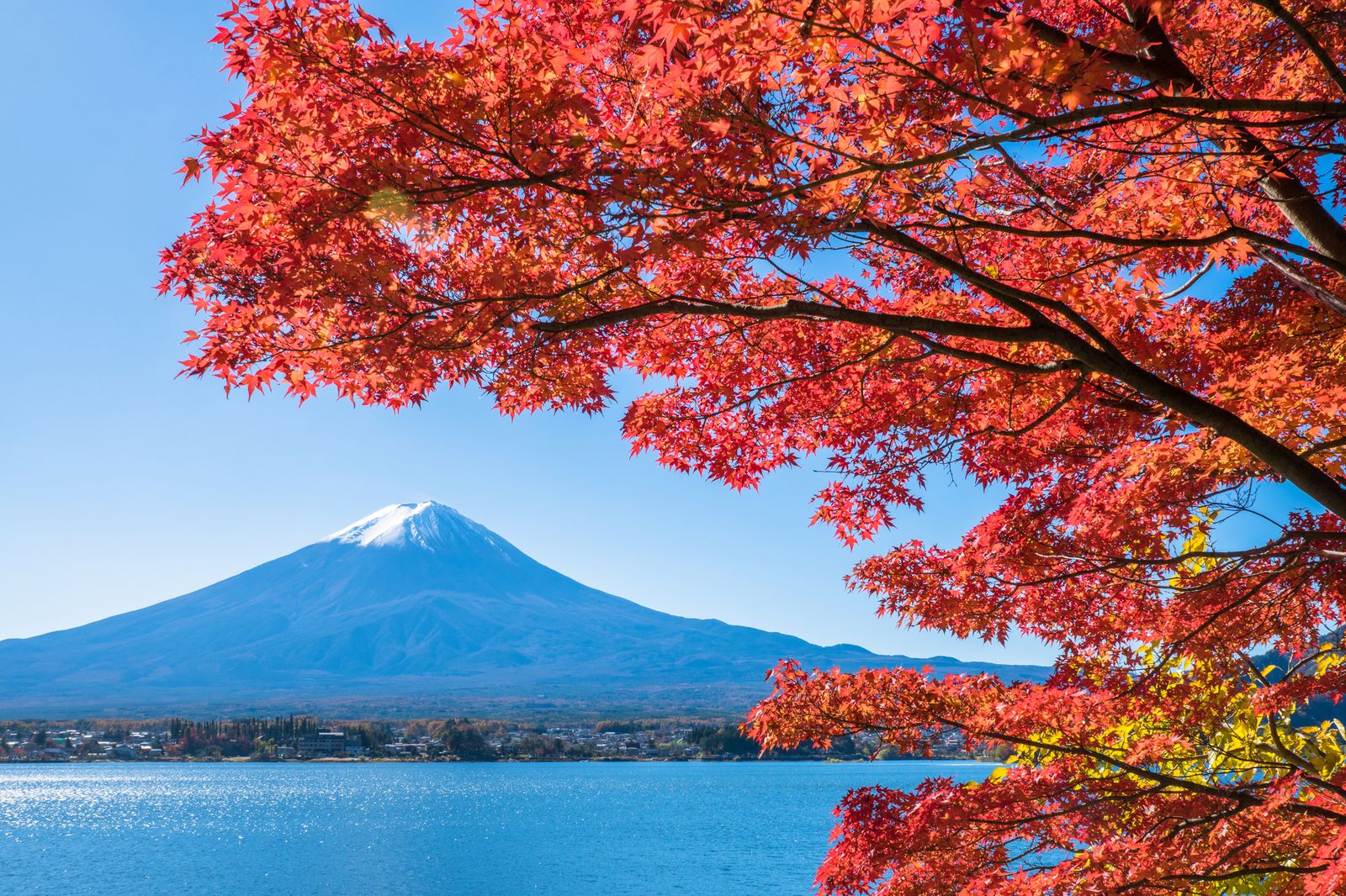 メイン画像 年に一度の絶景を最上級に楽しみたい 秋田県のおすすめ紅葉スポット10選 Retrip リトリップ