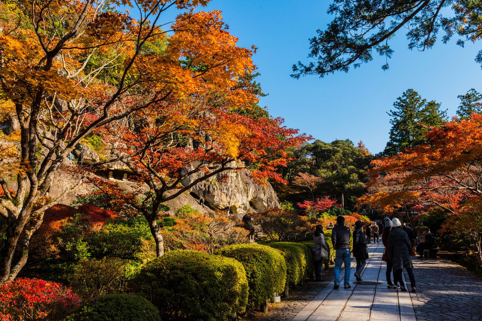 千葉の絶景紅葉スポット 知る人ぞ知る 小松寺 の紅葉がとにかく美しい Retrip リトリップ