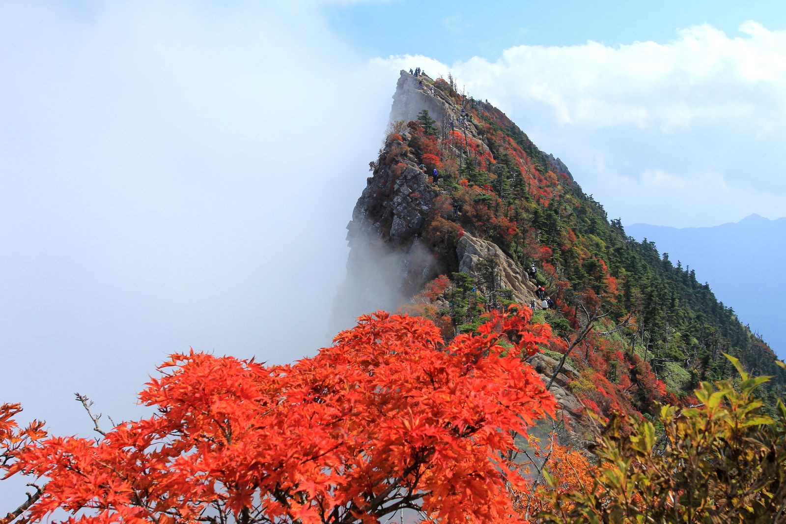 愛媛の紅葉の名所はここ もみじまつりもする 石鎚山 の紅葉が絶景 Retrip リトリップ