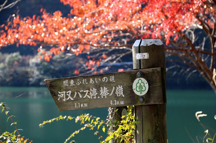 サイクリングにもおすすめ！この秋見るべき埼玉「名栗湖」の紅葉