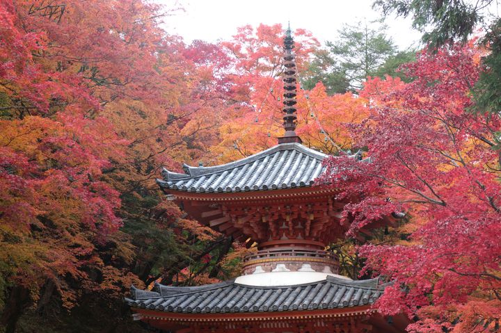 大阪ナンバーワン 牛滝山 大威徳寺 の紅葉が綺麗すぎる Retrip リトリップ