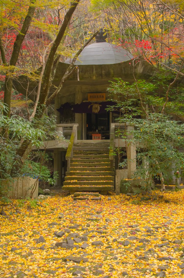 この紅葉に 恋をする 絶対行きたい 大阪 の絶景紅葉スポットtop10 Retrip リトリップ