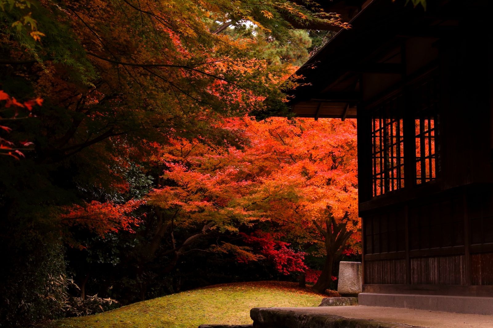 メイン画像 神奈川ナンバーワンの紅葉 横浜にある 三渓園 の紅葉が美しすぎると話題 Retrip リトリップ