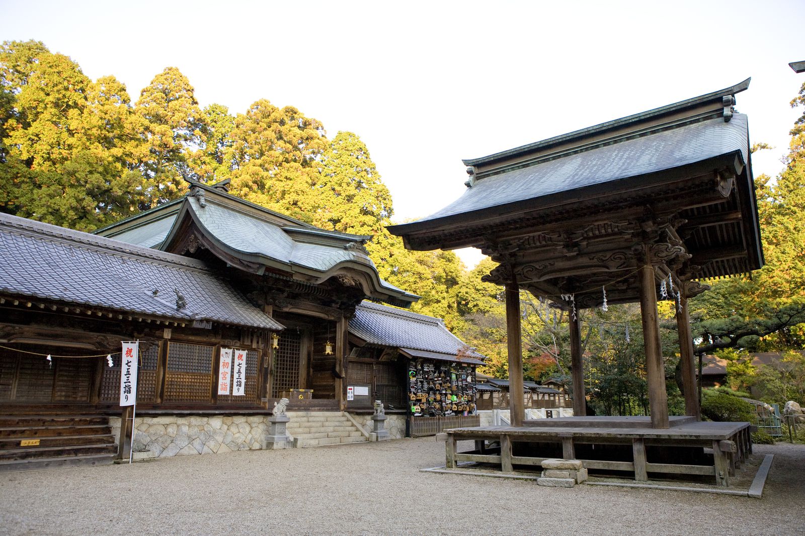 愛知が誇る紅葉スポット 猿投神社紅葉林 の紅葉が今年もスゴそう Retrip リトリップ