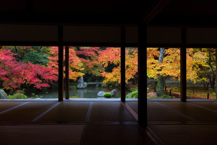 秋、そうだ、京都に行こう。定番でも外せない『洛北蓮華寺』の紅葉が見たい