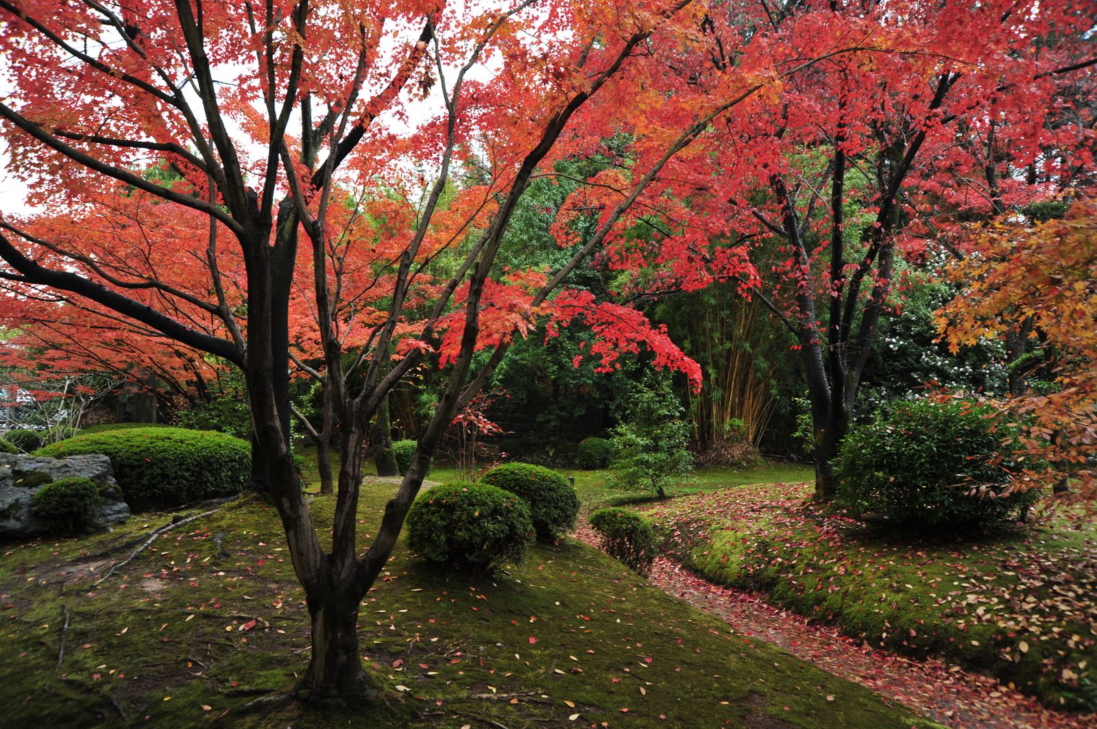 この秋京都に行く方必見 隠れた京都の紅葉名所 松花堂庭園美術館 Retrip リトリップ