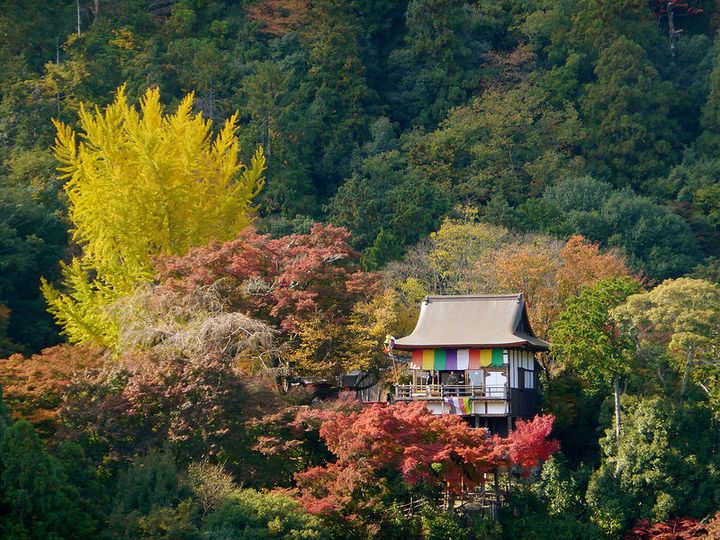 情緒溢れる 京都の秋 京都 常照皇寺 の紅葉が美しすぎると話題 Retrip リトリップ