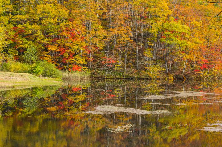 秋の絶景が見逃せない 絶対行きたい福島県の絶景紅葉スポットtop10 Retrip リトリップ