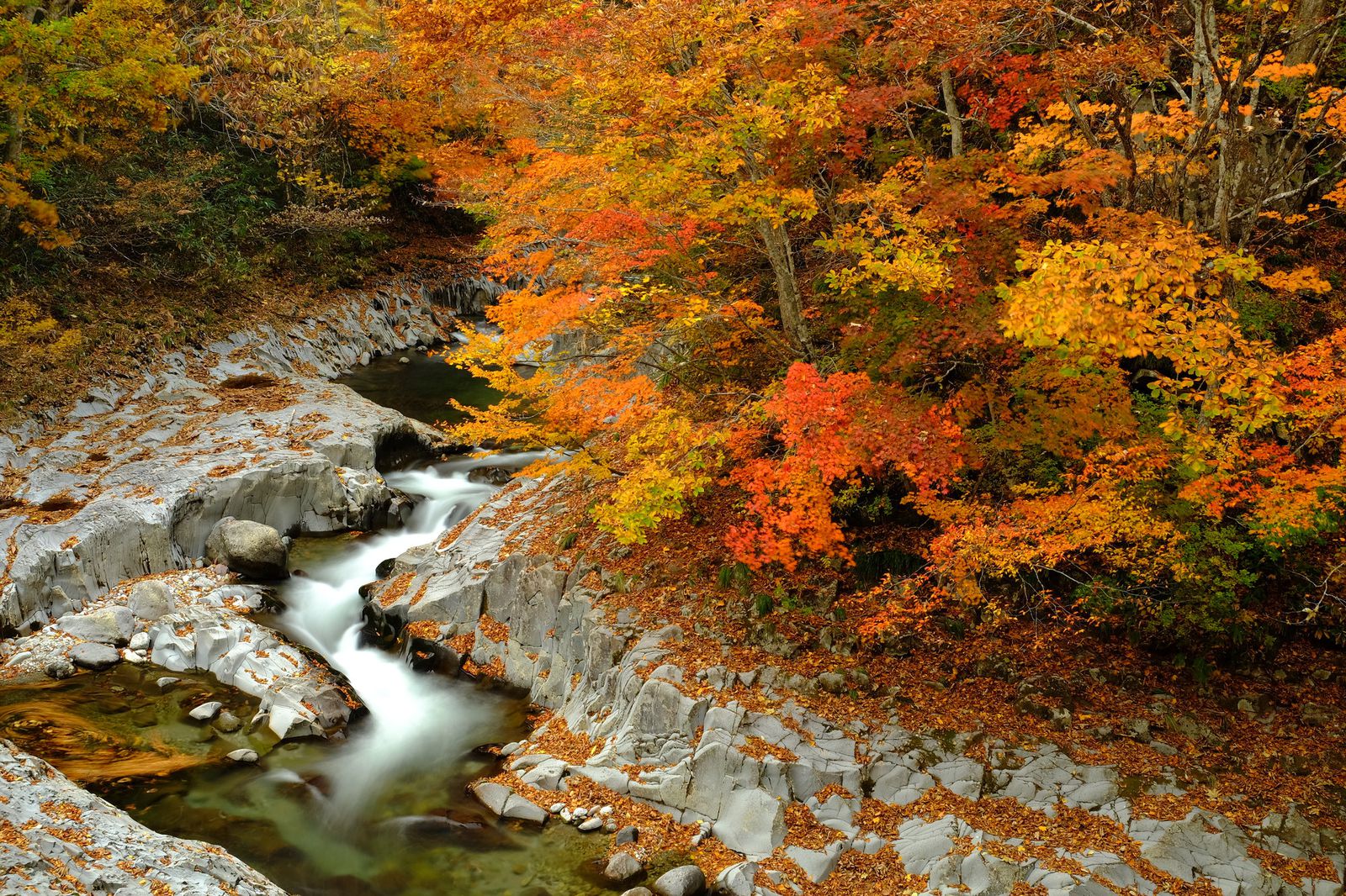 秋の絶景が見逃せない 絶対行きたい福島県の絶景紅葉スポットtop10 Retrip リトリップ