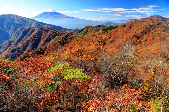 雄大な秋の自然を感じよう 鹿児島県 の人気紅葉スポットtop10 Retrip リトリップ