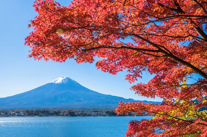 山梨県の都心から日帰りで紅葉狩りが楽しめる絶景紅葉スポット10選 旅行キュレーションメディア トラベルザウルス