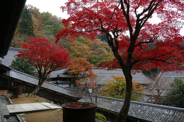 知られざる秋の絶景の宝庫 福井県の 紅葉が美しい スポットtop10 Retrip リトリップ