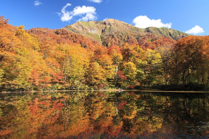 知られざる秋の絶景の宝庫 福井県の 紅葉が美しい スポットtop10 Retrip リトリップ