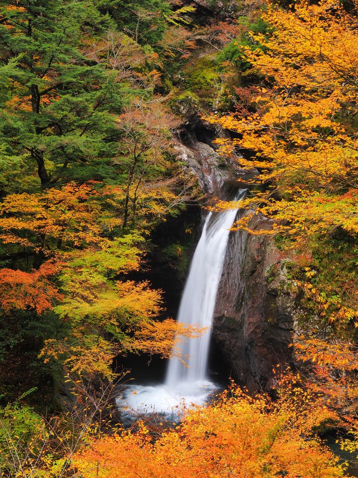 趣ある景色が秋の風情を際立たせる 山形県のおすすめ紅葉スポット10選 Retrip リトリップ