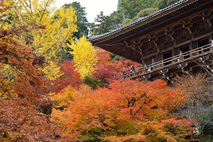 秋のハイキングにピッタリ 埼玉県を代表する紅葉スポット 天覧山 とは Retrip リトリップ