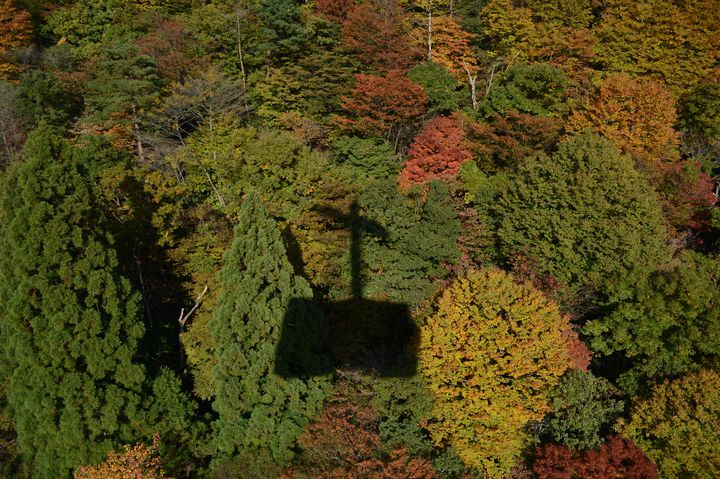 ここだけの 特別な秋 滋賀県の 人気紅葉スポット ランキングtop10 Retrip リトリップ