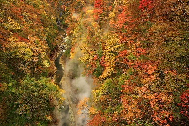 蒸気と紅葉の見事なコラボ 秋田県 小安峡 の紅葉が目を疑う美しさ Retrip リトリップ