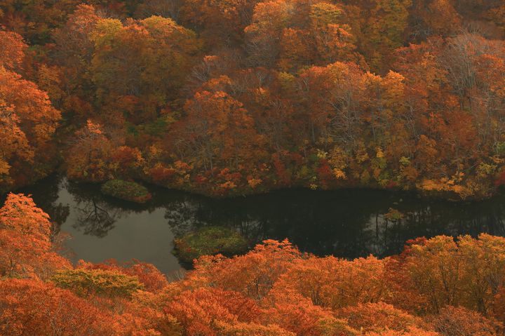 日本の 赤壁 はここにあった 山形県 赤芝峡 の紅葉が息を呑むほど美しい Retrip リトリップ