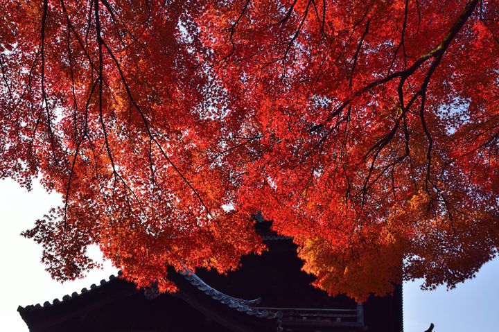 秋の京都は こんなに美しい 南禅寺 の美しすぎる紅葉を見に行こう Retrip リトリップ