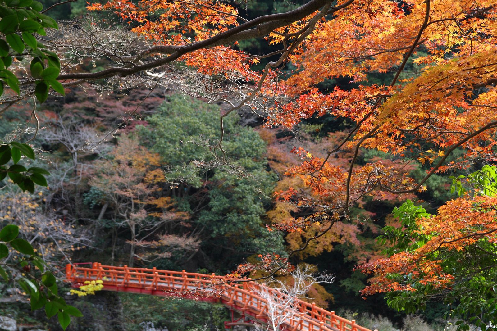 和を感じる秋の絶景 和歌山県の 人気紅葉スポット ランキングtop10 Retrip リトリップ