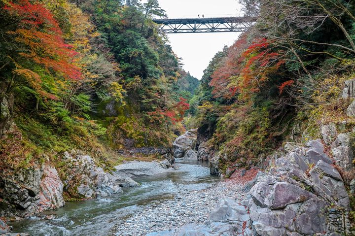 東京が誇る渓谷！この秋は「鳩ノ巣渓谷」の美しすぎる紅葉を見に行こう