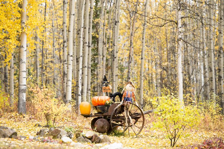 本場のハロウィンは迫力満点 超豪華な アメリカのハロウィン 7選 Retrip リトリップ