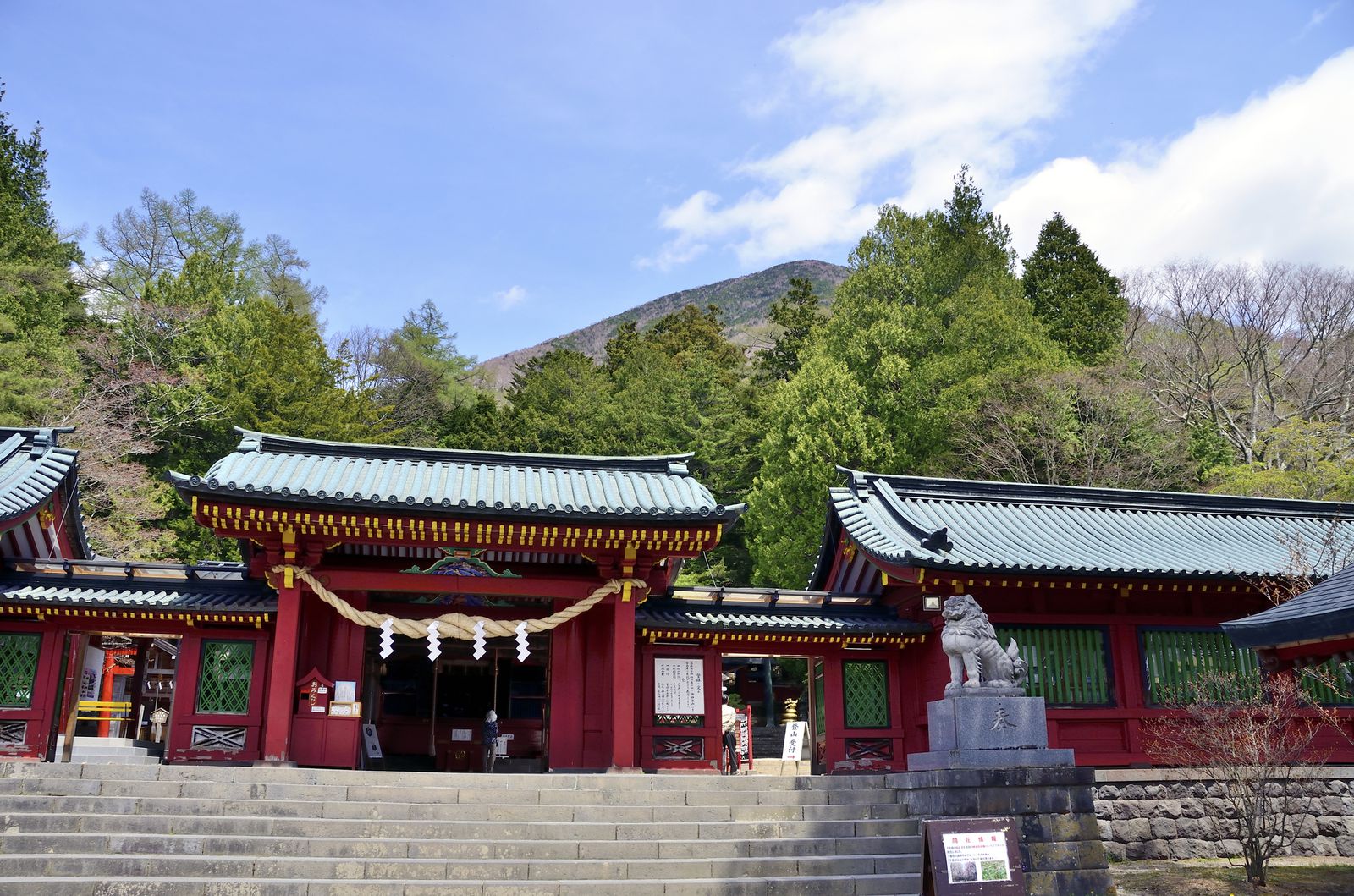 日光二荒山神社の御神木の魅力とは Retrip リトリップ