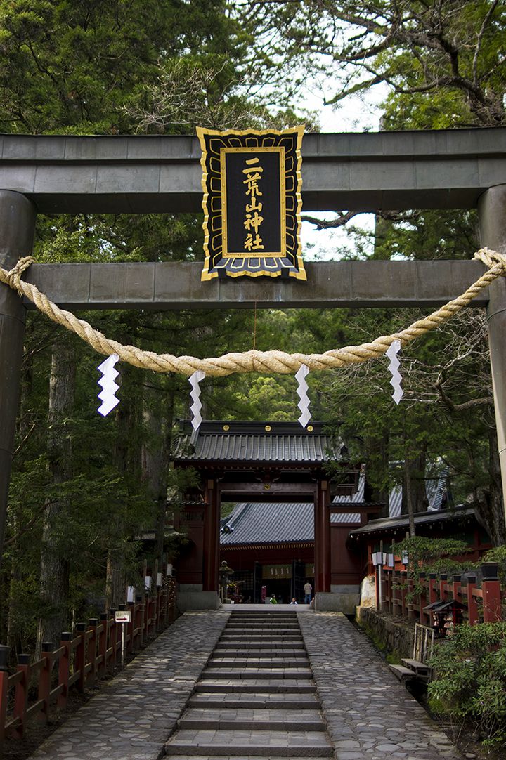 日光二荒山神社の御神木の魅力とは Retrip リトリップ