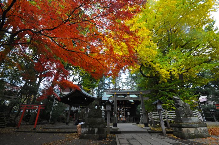 年間400万人が訪れる！香川県・金刀比羅宮の紅葉が素敵だと話題