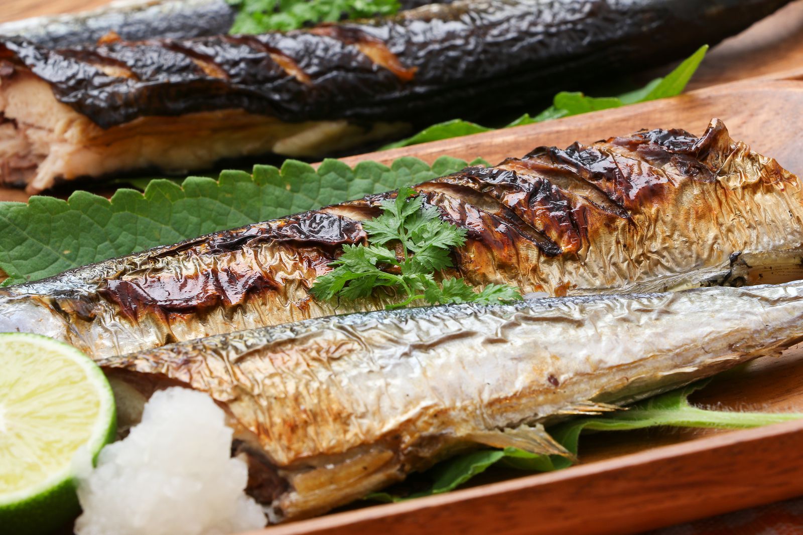 この秋絶対食べたい 関東近郊の 絶品秋グルメ 7選 魚編 Retrip リトリップ