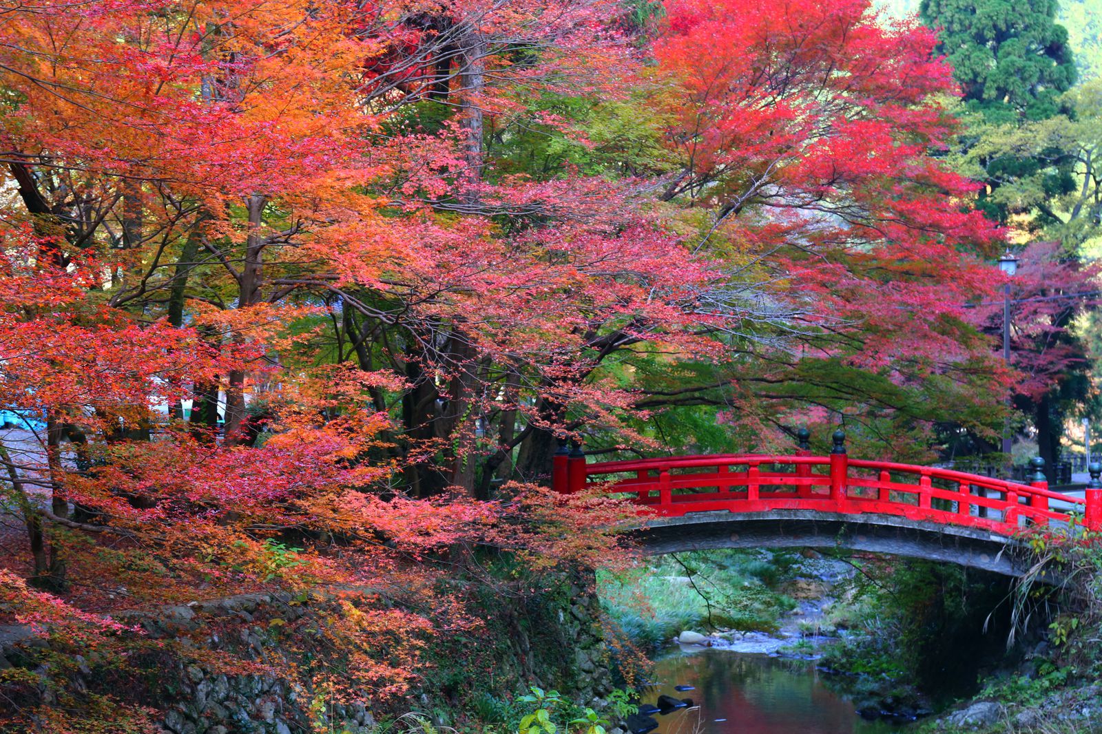 あなたも山口に行きたくなる 山口県 のオススメの紅葉スポット10選 Retrip リトリップ