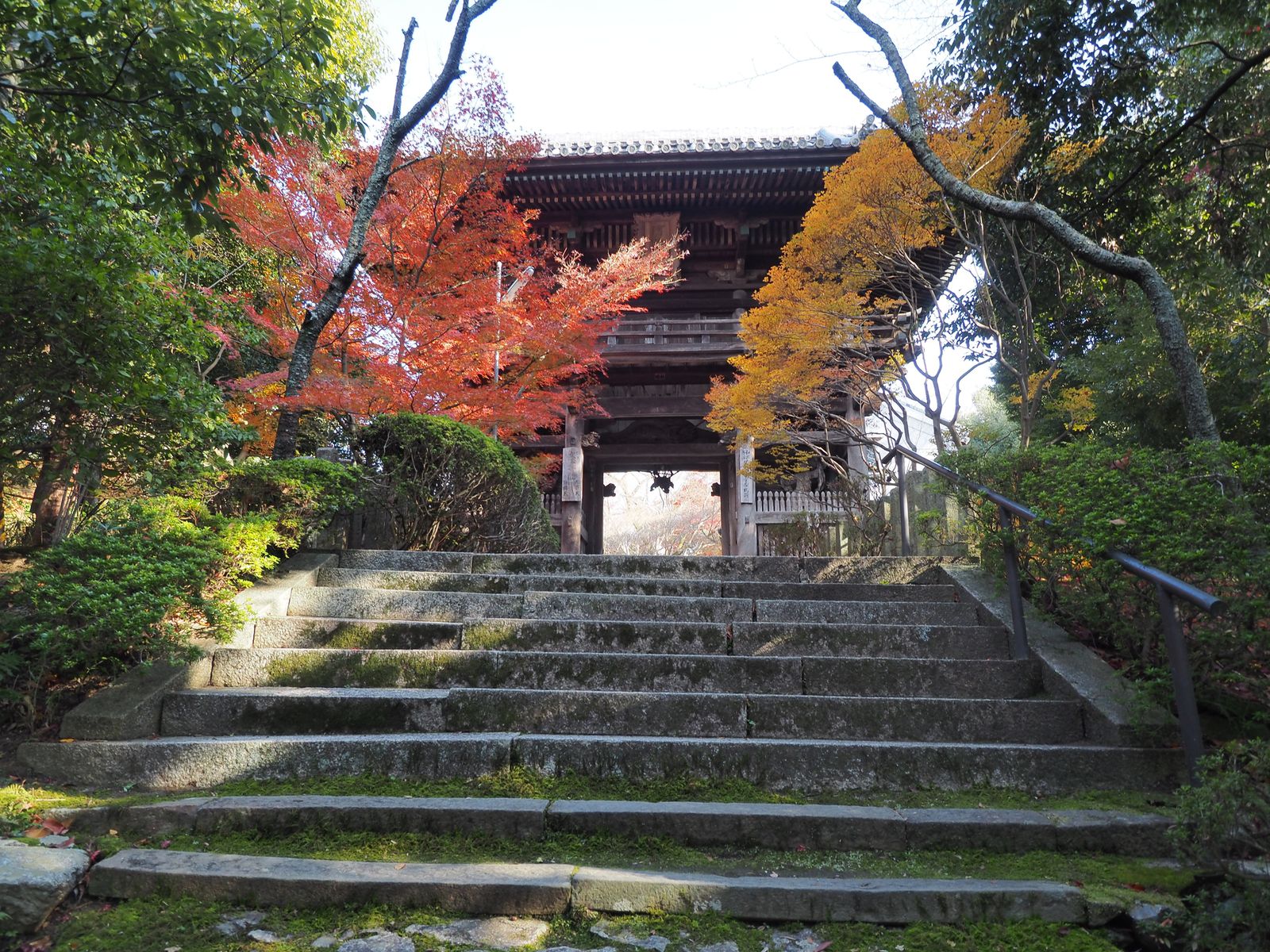 本堂の紅葉は圧巻の一言 大阪の秘境 松尾寺 の紅葉が美しい Retrip リトリップ