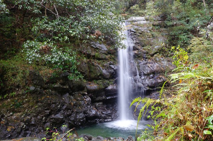 大阪ナンバーワン 牛滝山 大威徳寺 の紅葉が綺麗すぎる Retrip リトリップ