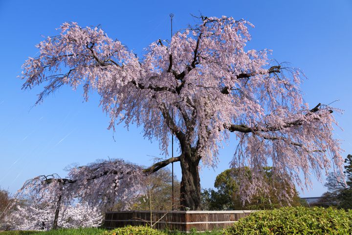 京都観光を満喫するならココ！清水寺が徒歩圏内の「祇園の宿 舞風館」とは