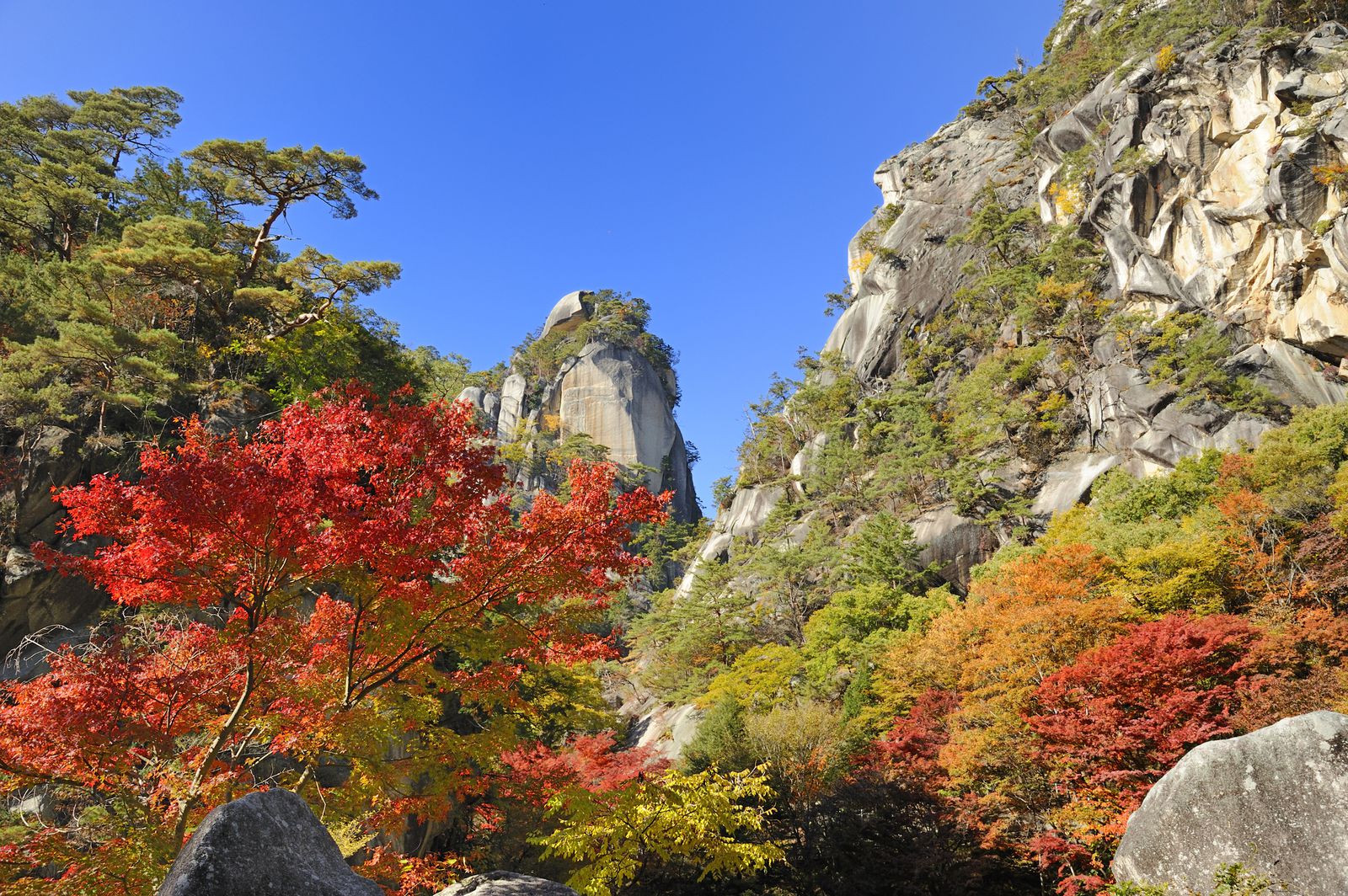 昇 仙 峡 紅葉
