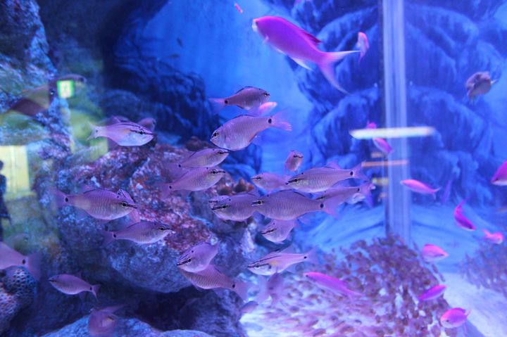 二人で探検しよう 福岡のおすすめデートスポットランキングtop7 Retrip リトリップ