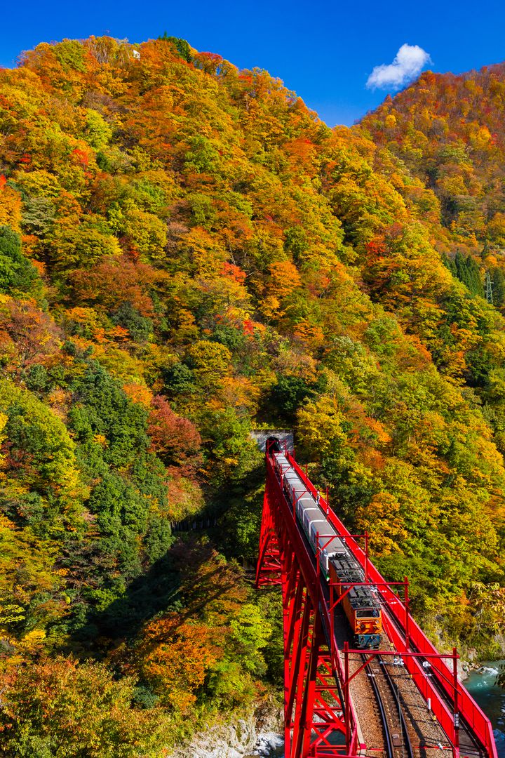 車窓からみる絶景をあなたに 日本全国の 紅葉の中を駆け抜ける電車 11線 Retrip リトリップ