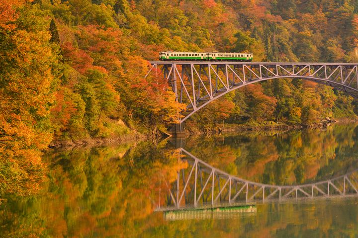 車窓からみる絶景をあなたに。日本全国の“紅葉の中を駆け抜ける電車”11線